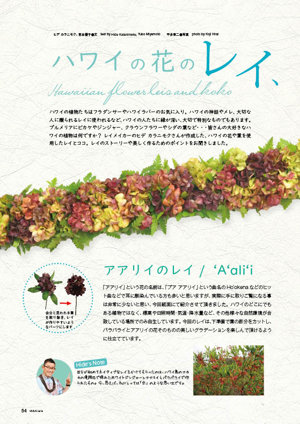 【連載】ハワイの花のレイ。ココという名の髪飾り